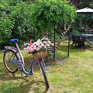 Retro & Garden Cracovie